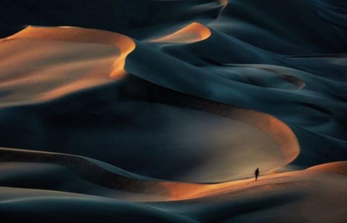 The most prominent winning photos of the International Photography Contest 2020