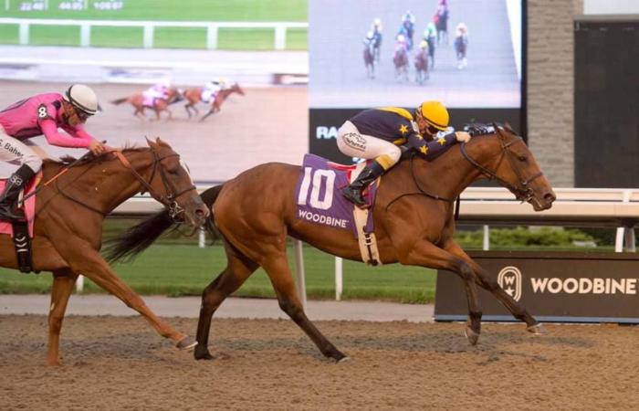 Woodbine Princess Elizabeth puts odds, best bets and handicap of the...