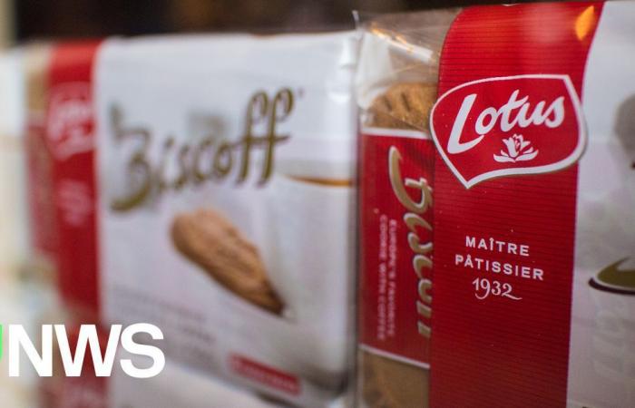 Lotus swaps term “Speculoos” for “Biscoff”: which other famous treats were...