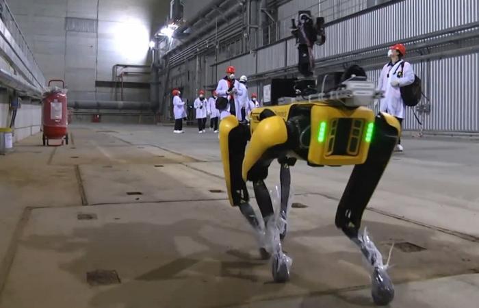 Spot, the robot that got a job at the Chernobyl nuclear...
