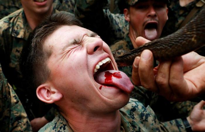 Will ban ritual with snake blood at military exercise – NRK...