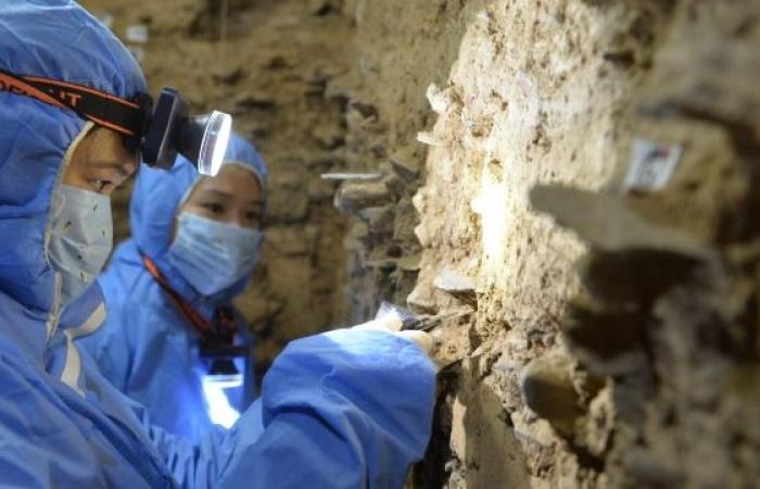 Denisovan DNA found in sediments of Baishiya Karst Cave