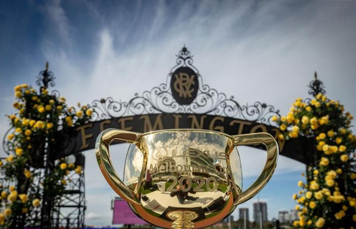 Melbourne Cup 2020: expert tips, predictions, odds, who to bet on,...