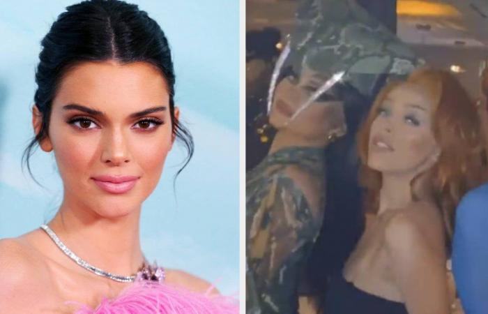 Kendall Jenner before Halloween and birthday party backlash
