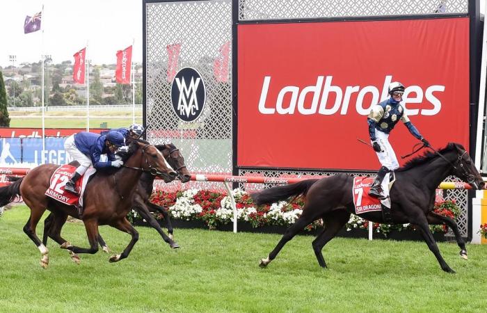 Glen Boss will ride Sir Dragonet to win the Melbourne Cup...