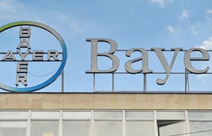 Outlook: Bayer provides information on the latest quarterly results | ...