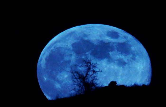 A blue dwarf decorates the dome of the sky tonight from...