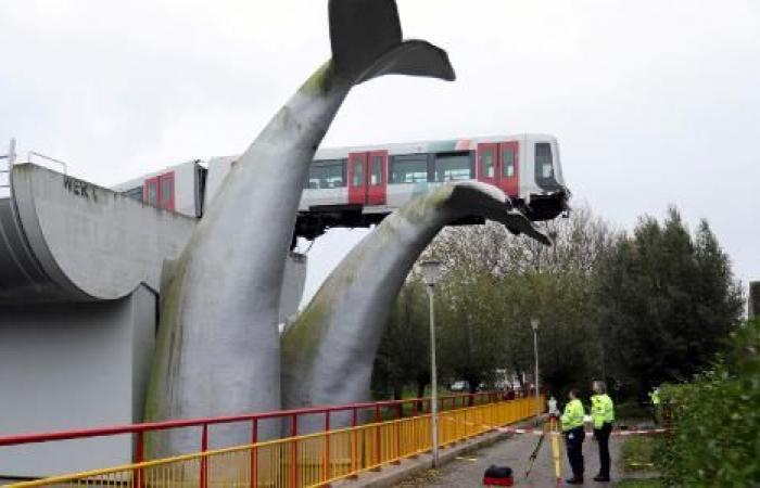 Runaway subway saved by whale tail sculpture in the Netherlands –...