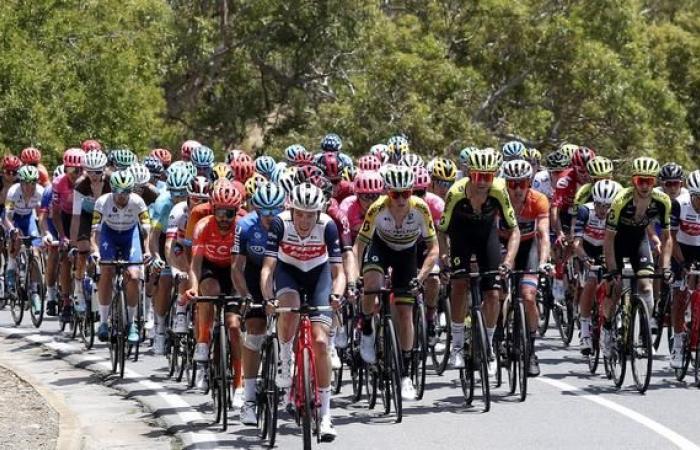 TDU and Superloop 500 have canceled, but Fringe and WOMAD have...