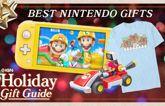 Best Nintendo Gifts for 2020 | DE24 News