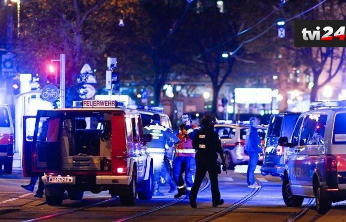 Terror in Vienna: six crime scenes, at least two dead and...