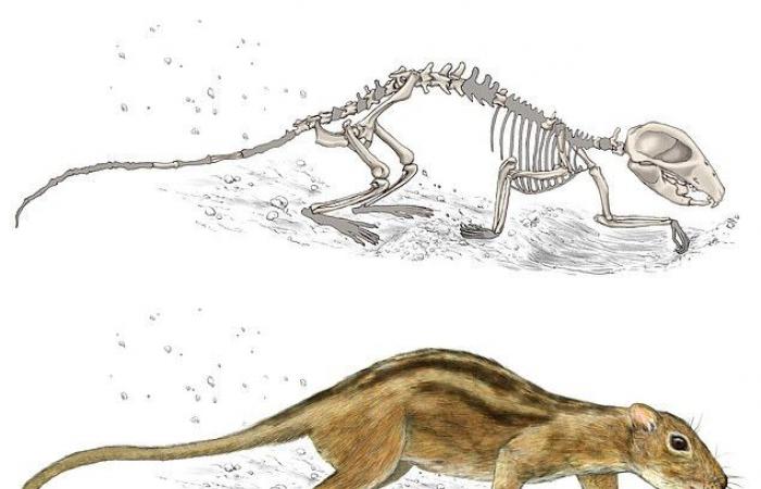 Paleontology: The 75-million-year-old structure contains fossilized rodents that have snuggled together