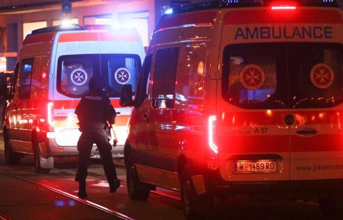 Terrorist attack in Vienna: “The attack is still ongoing, stay at...