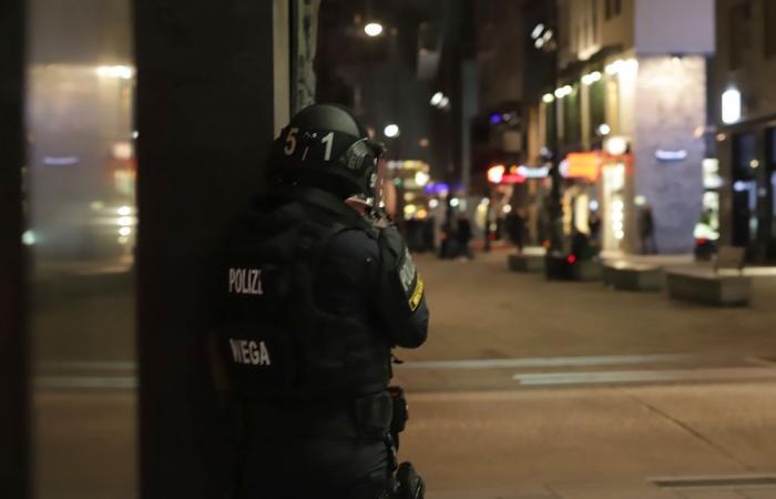 Two dead in ‘terror’ attack in central Vienna