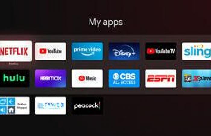 A gateway to live TV streaming | DE24 News