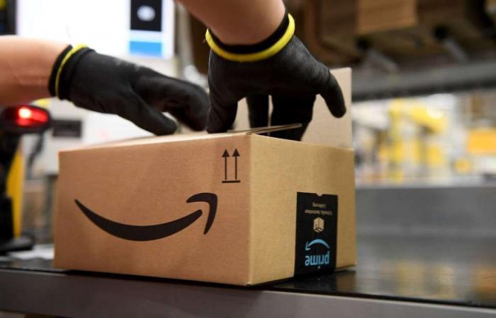 what does Amazon weigh in France?