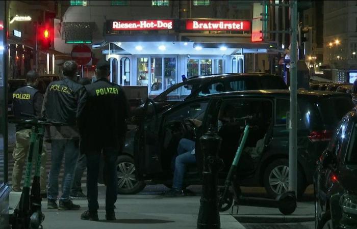 Shooting in Vienna, Austria, leaves injured; 1 person died, says...