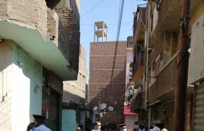 Campaign to eradicate strange insects causing panic among Luxor residents |...