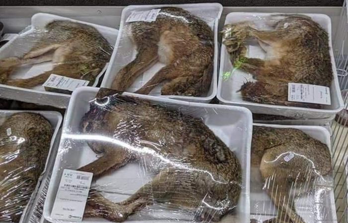 Outrage in France over supermarket that sells whole animals on trays