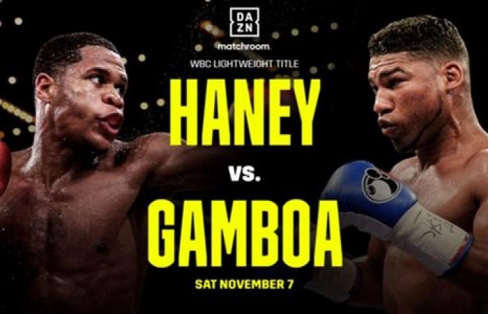 Devin Haney vs Yuriorkis Gamboa: fight date, start time, how to...