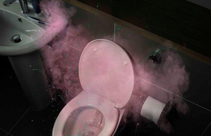 Fireworks-like photos show what happens when a toilet is flushed