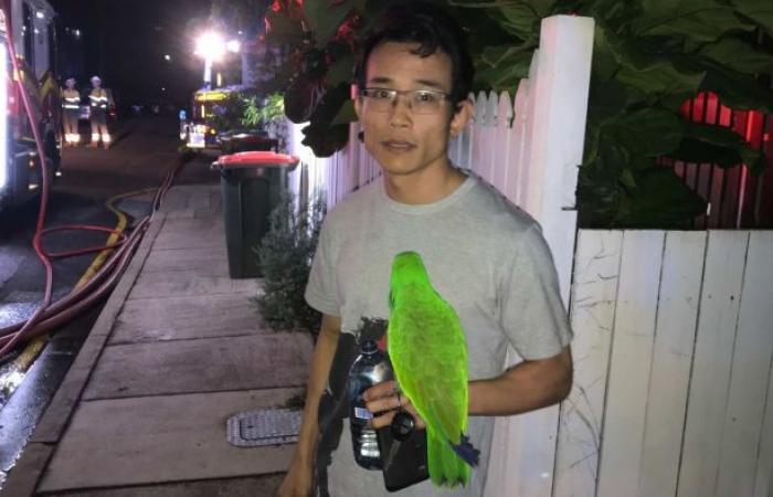 Parrot saves the owner from the house fire in Brisbane by...