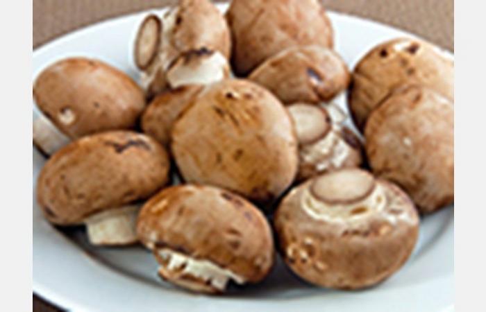 Studying mushrooms to solve the vitamin D crisis