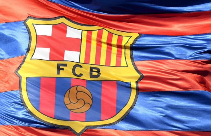 ‘Construction company goes to court and wants FC Barcelona to declare...