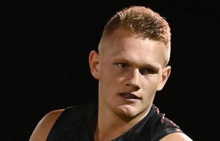 According to trade rumors, Adam Treloar is believed to have left...