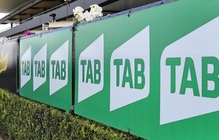 TAB Crash Stop Race: Computer errors bring the race to a...