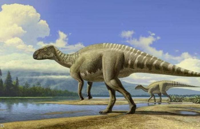 The discovery of a dinosaur that lived 66 million years ago...