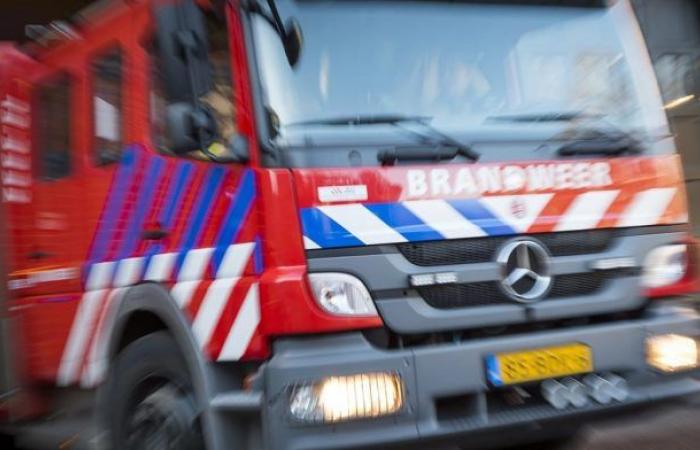 Ammonia leak in Den Bosch: stinging eyes and NL-Alert
