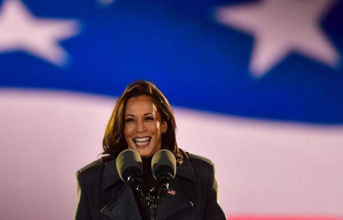 As Kamala Harris makes history, the internet takes a step in...