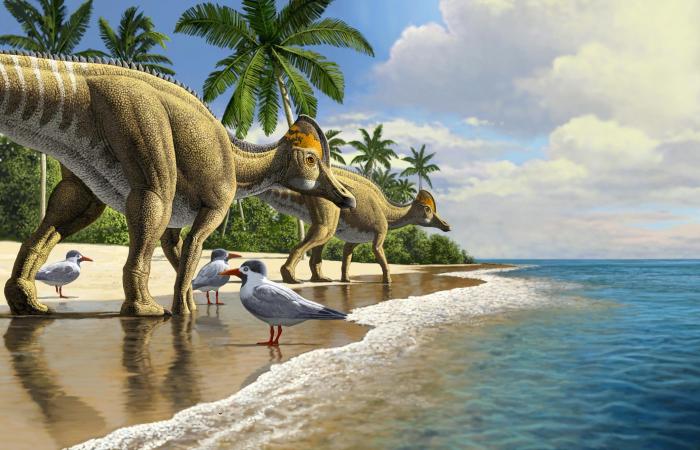 First duckbill dinosaur fossil discovered in Africa