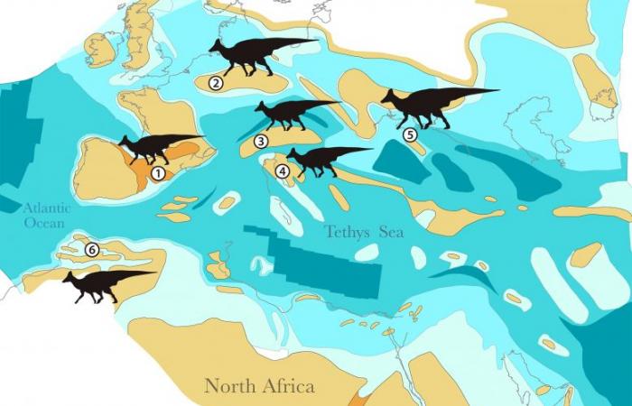 First duckbill dinosaur fossil discovered in Africa