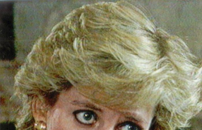 DOMINIC LAWSON: Martin Bashir, callous, cruel and calculating, poisoned Princess Diana’s...