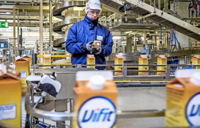 Dairy giant FrieslandCampina cuts 1000 jobs | Financial