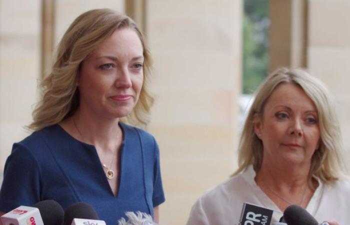 Women bullied and intimidated in politics, WA Nationals MP Jacqui Boydell...