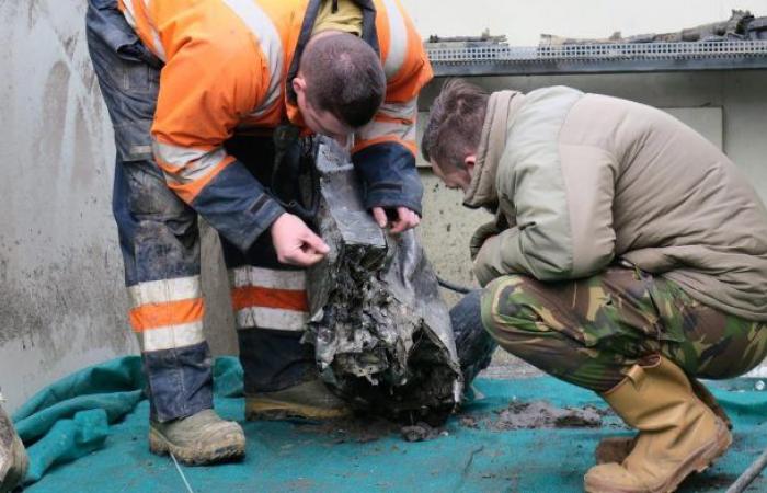 Remains in German war wreck identified as 20-year-old pilot | ...
