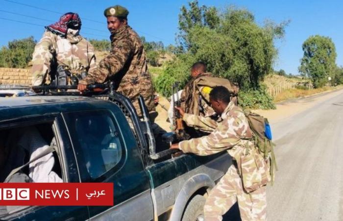 Tigrayan Crisis: A massive regional mobilization against the Ethiopian army
