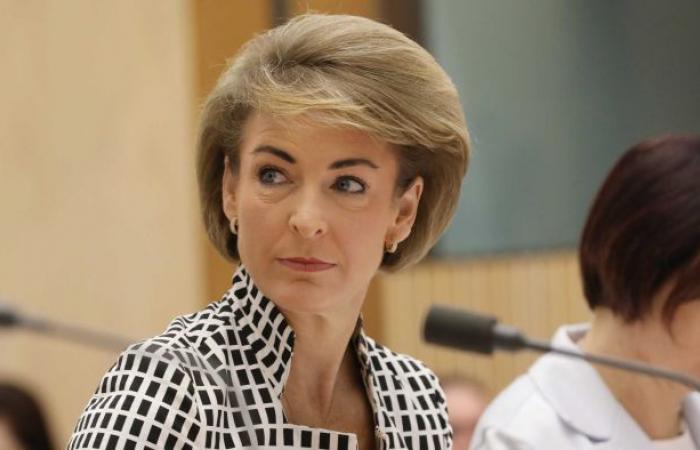Michaelia Cash is accused of sending “humiliating” messages about Alan Tudge’s...