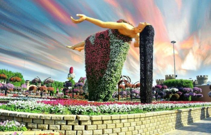 Dubai Flower Garden … 20 pictures from the miraculous “Miracle Garden”...