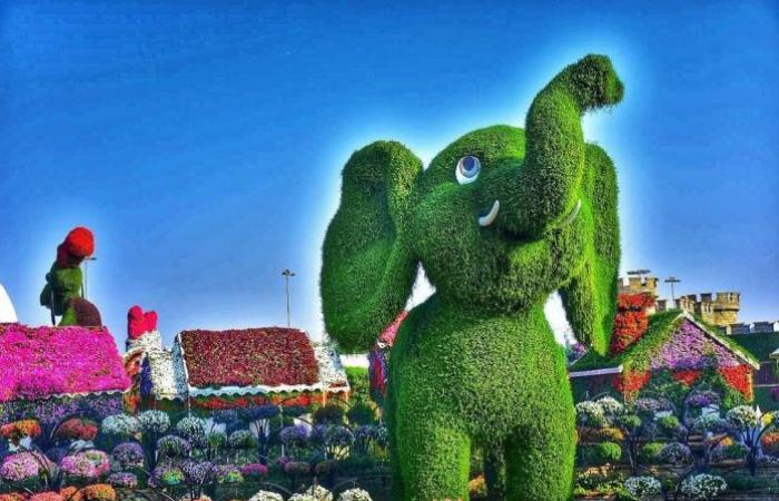Dubai Flower Garden … 20 pictures from the miraculous “Miracle Garden”...