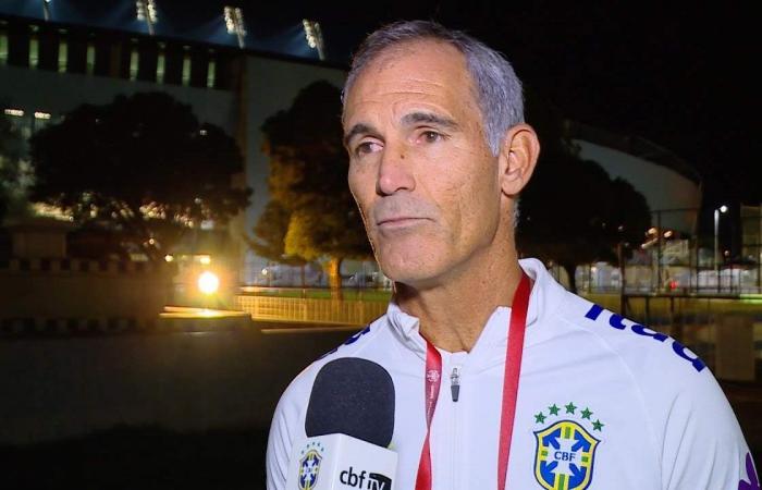 Carlos Amadeu, under-17 champion coach with Brazil, dies at 55