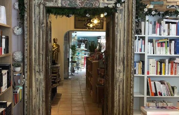 In Cannes, formal notice to close her store, a bookseller denounces...