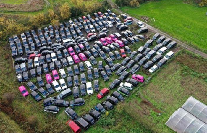 hundreds of abandoned London taxis in fields