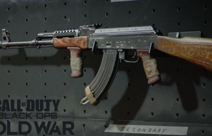 This class of AK-47 on Black Ops Cold War gives “negative...