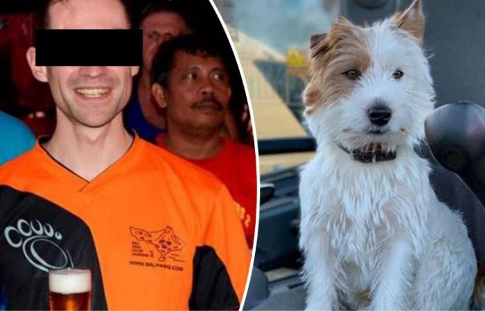 Jogger arrested who stabbed Dribbel to death dog: ultra runner, kli...