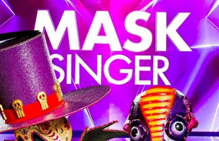 Mask Singer – Penguin sings “Tous les cis, les SOS” by...