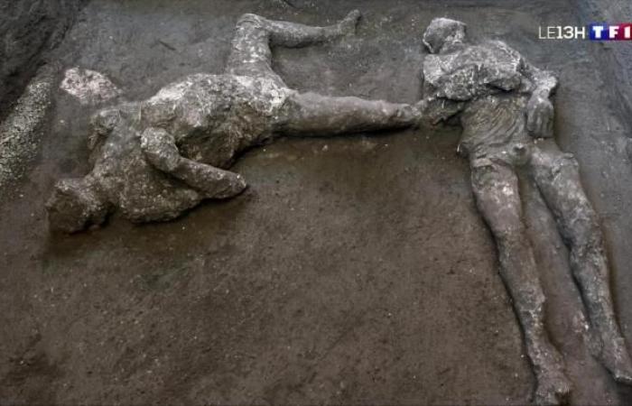 In Pompeii, the discovery of the bodies of two victims trying...